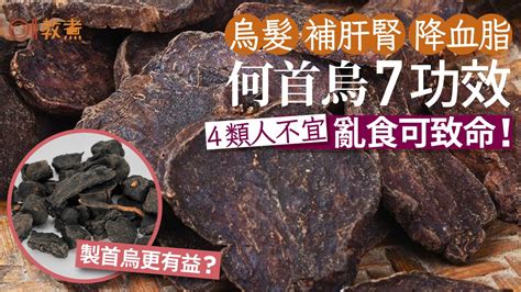 何首烏粉功效|找回黑髮、防癌抗發炎！超級食材何首烏，5種人少吃